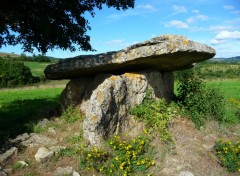 Wallpapers Constructions and architecture Dolmen de Buzeins dans l'Aveyron