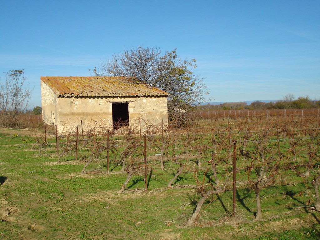 Fonds d'cran Nature Paysages 