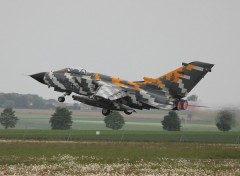 Wallpapers Planes tornado tiger meet 2011