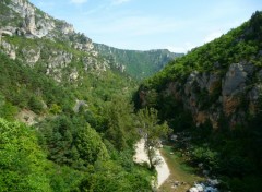 Fonds d'cran Nature Gorges du Tarn