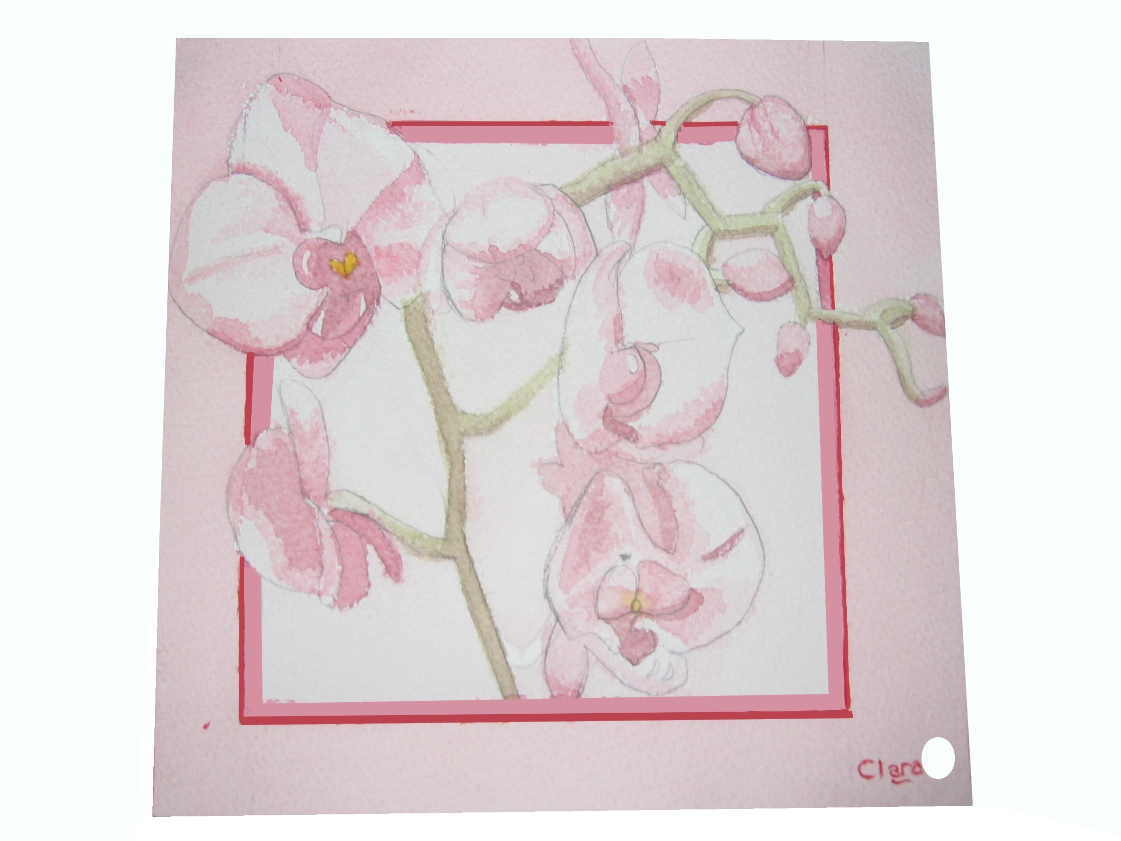 Wallpapers Art - Painting Flowers Orchides