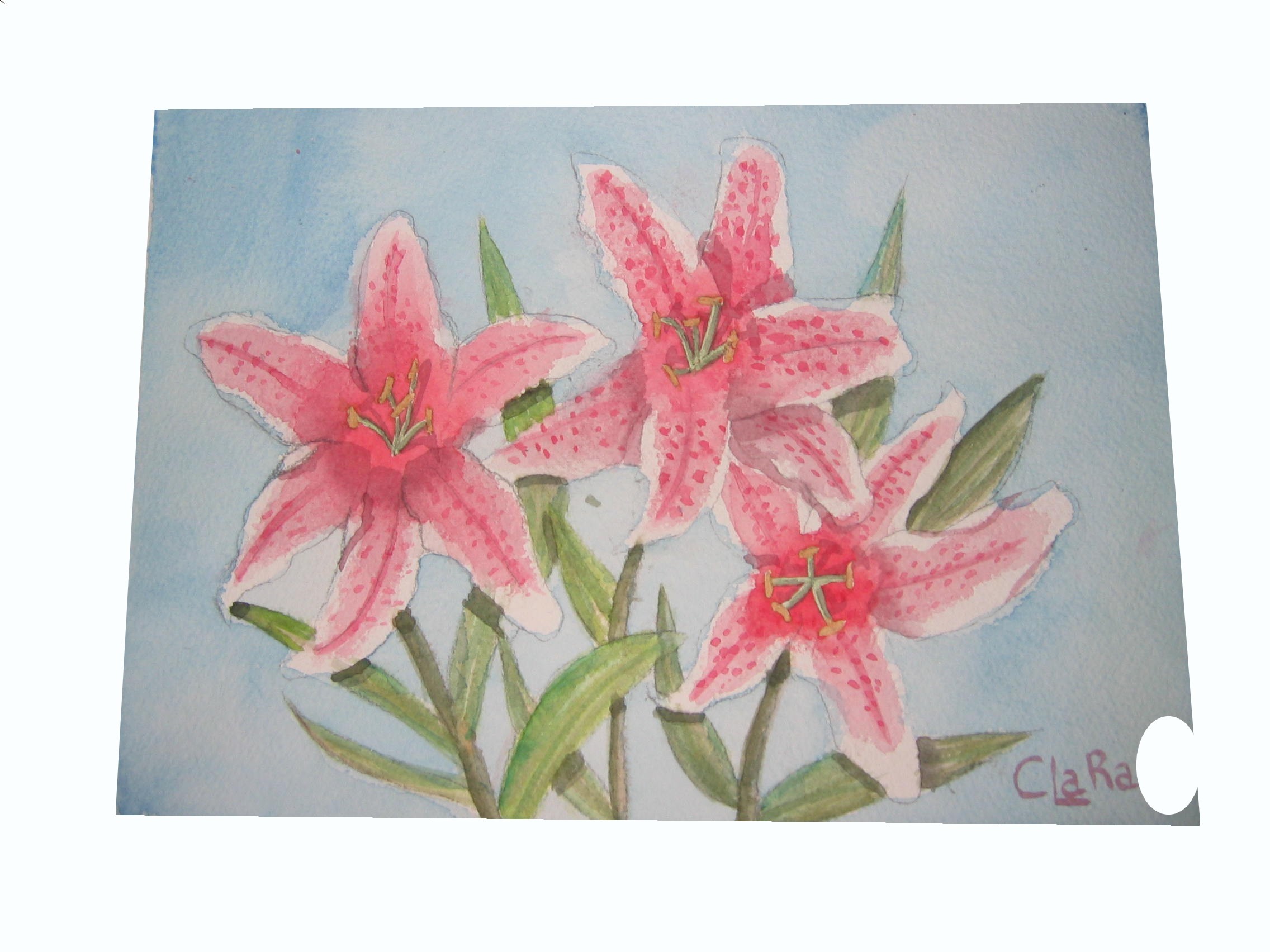 Fonds d'cran Art - Peinture Fleurs Lys