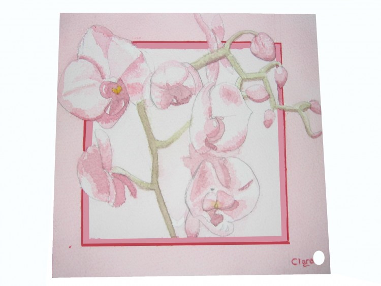 Wallpapers Art - Painting Flowers Orchides