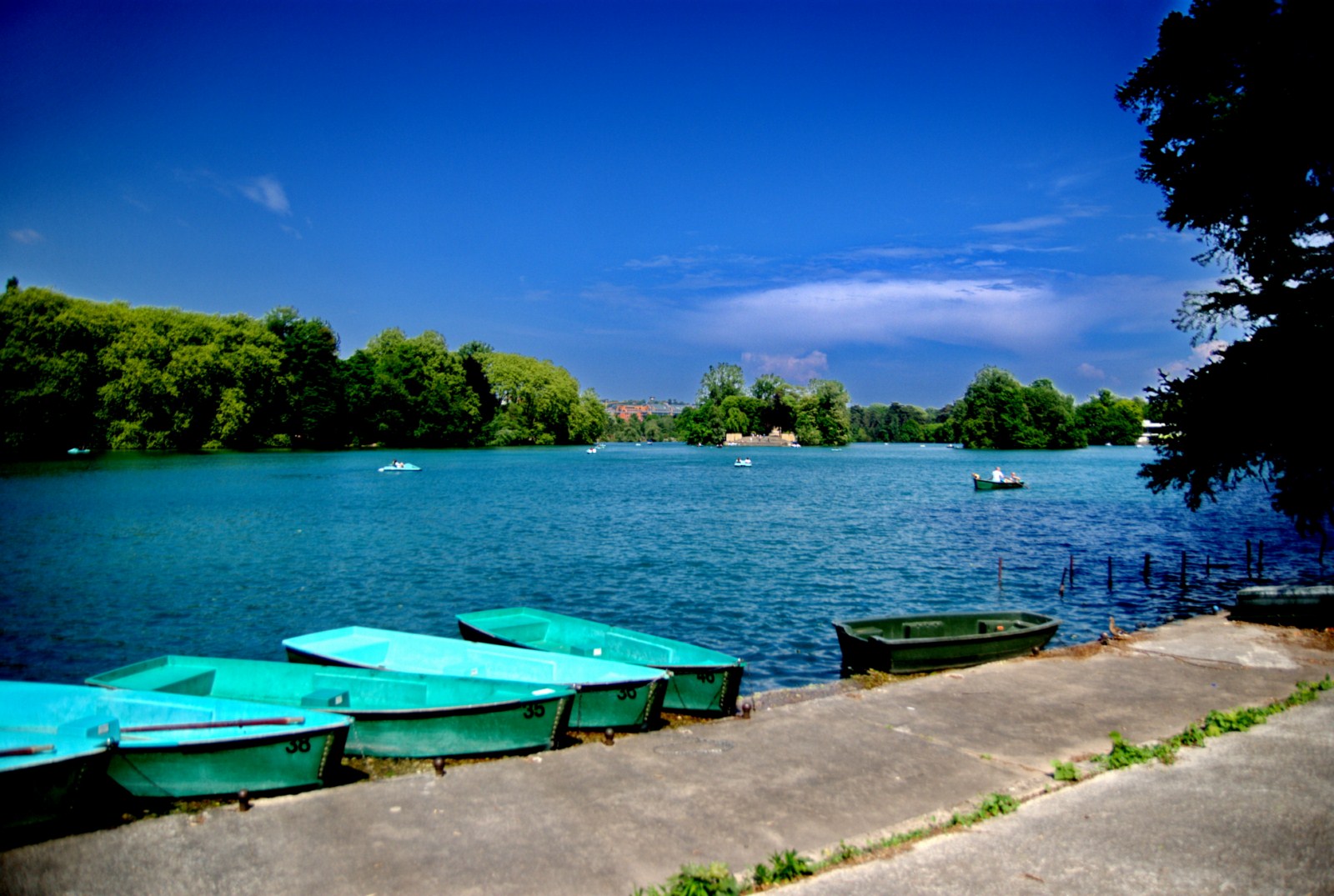 Fonds d'cran Nature Lacs - Etangs Tete d'or