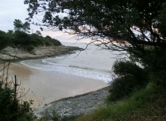 Fonds d'cran Nature Plage du Conseil Vaux sur mer