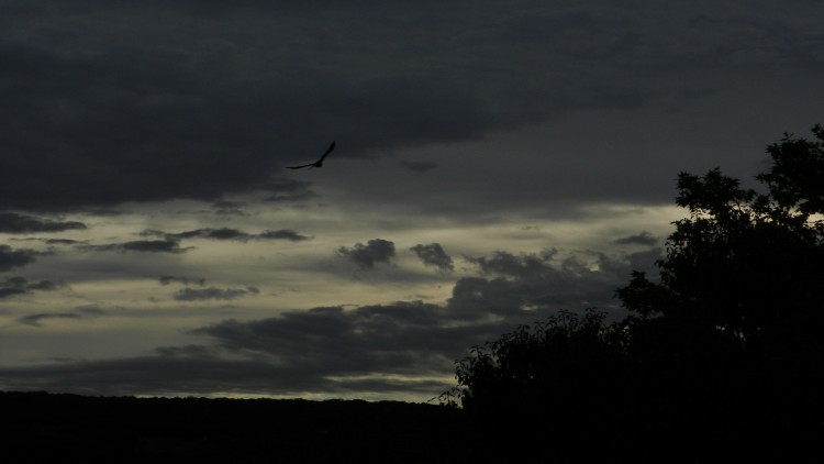 Fonds d'cran Nature Ciel - Nuages Wallpaper N285922