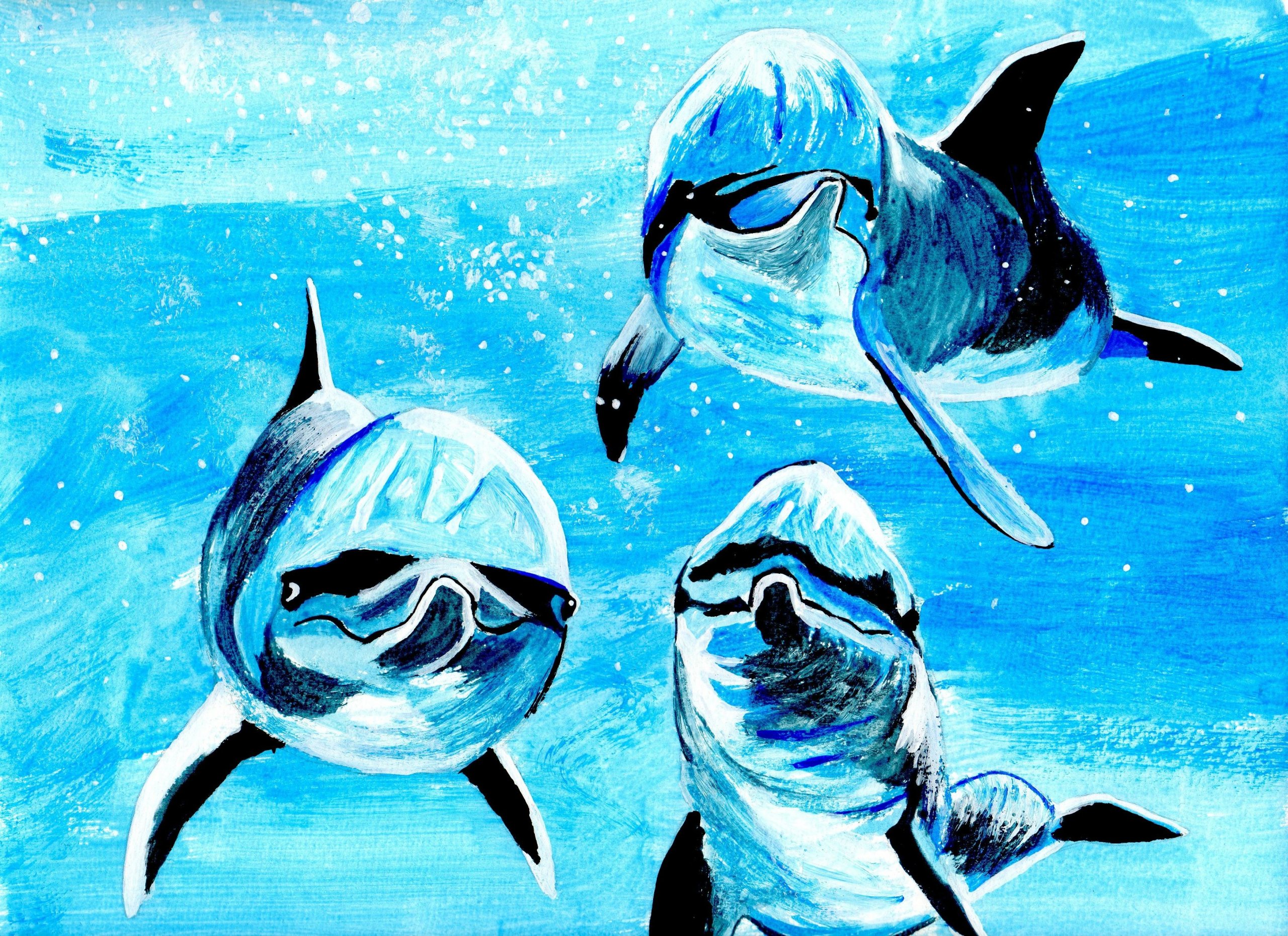 Wallpapers Art - Painting Animals dauphins