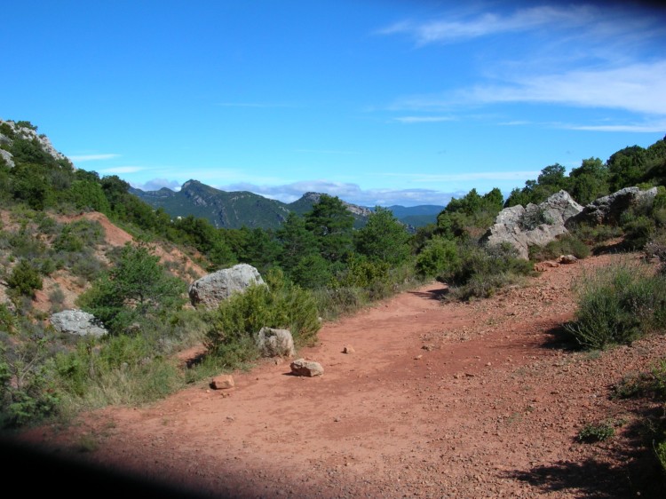 Wallpapers Nature Paths Chemin