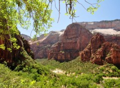 Wallpapers Nature Zion (National Park)