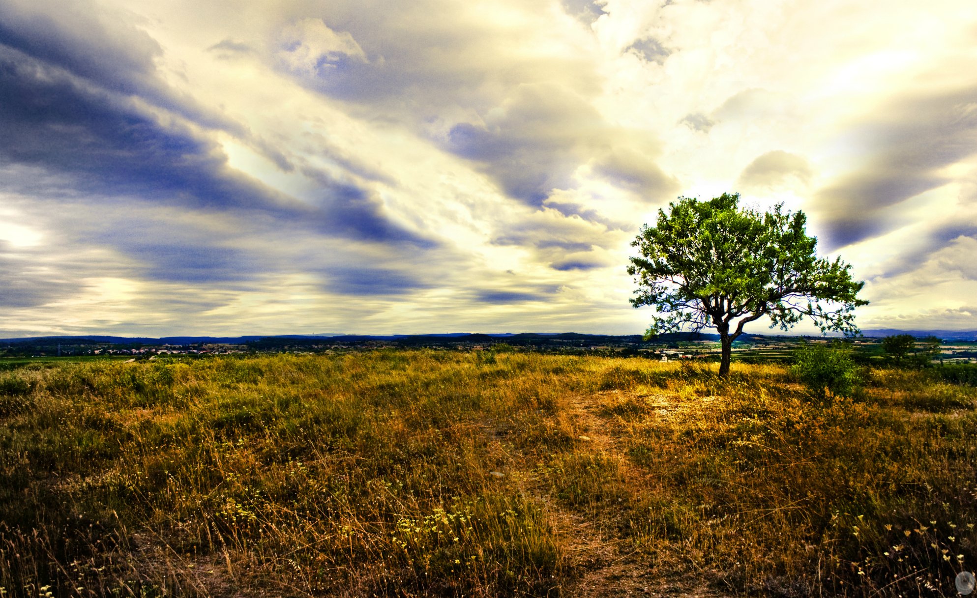 Fonds d'cran Nature Arbres - Forts Meeting (Rencontre)