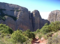 Fonds d'cran Nature Chemin des Mallos