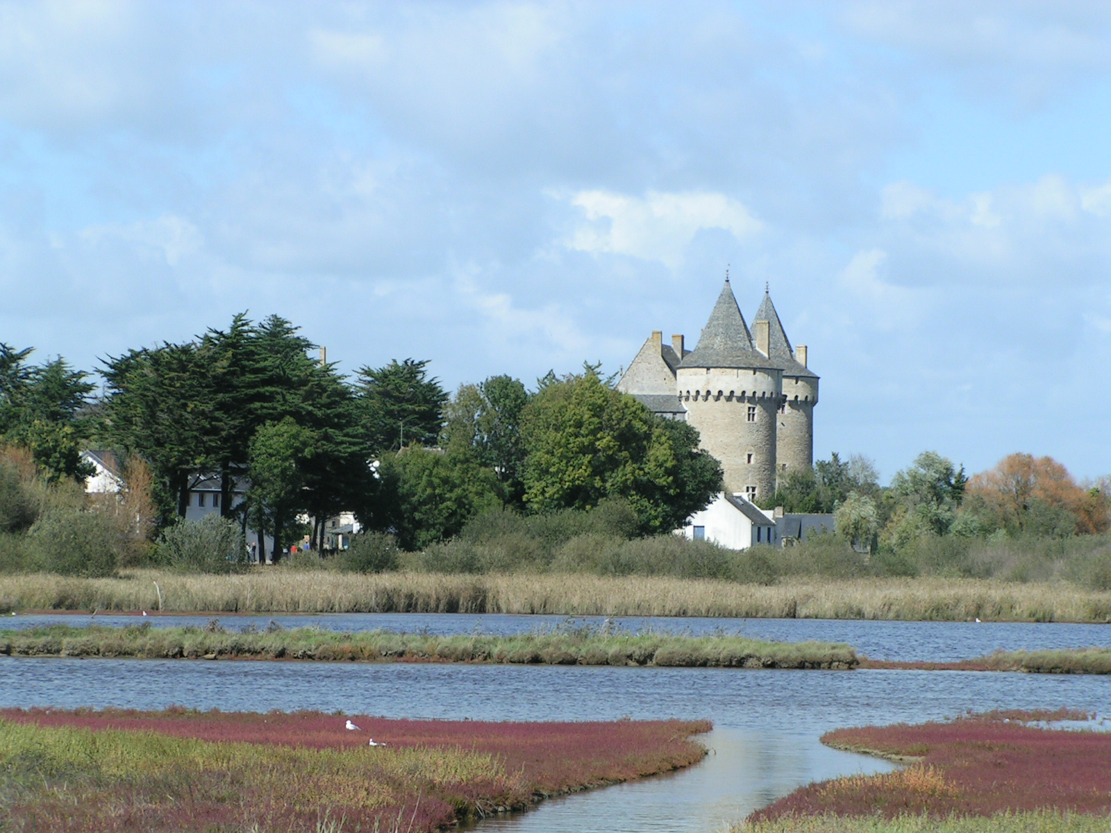 Fonds d'cran Voyages : Europe France > Bretagne marais et chateau de SUSCINO