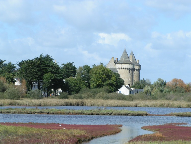 Fonds d'cran Voyages : Europe France > Bretagne marais et chateau de SUSCINO