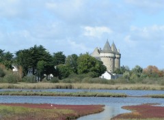 Fonds d'cran Voyages : Europe marais et chateau de SUSCINO