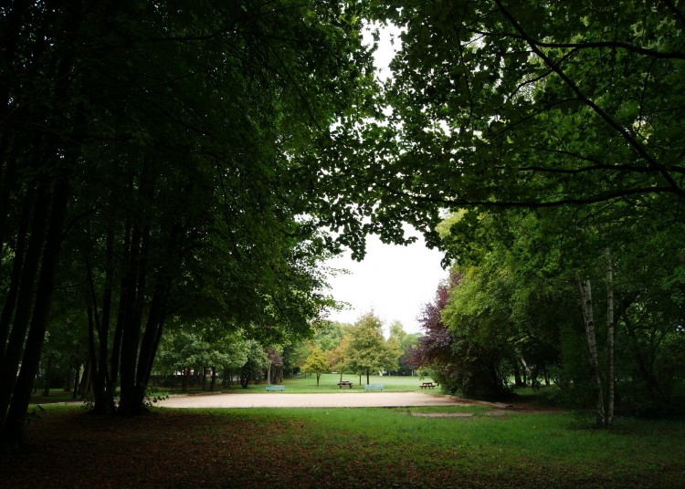 Fonds d'cran Nature Arbres - Forts Parc d'Issou