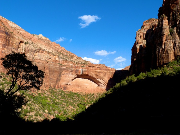 Wallpapers Trips : North America Etats-Unis > Utah Zion National Park