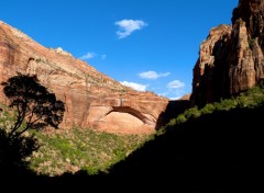 Wallpapers Trips : North America Zion National Park