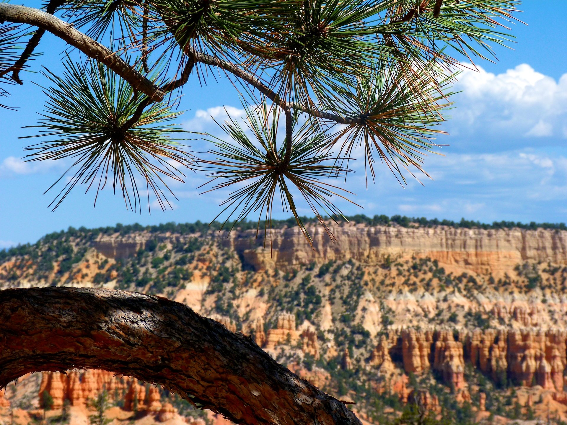 Wallpapers Trips : North America Etats-Unis > Utah Bryce Canyon 