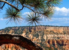 Wallpapers Trips : North America Bryce Canyon 