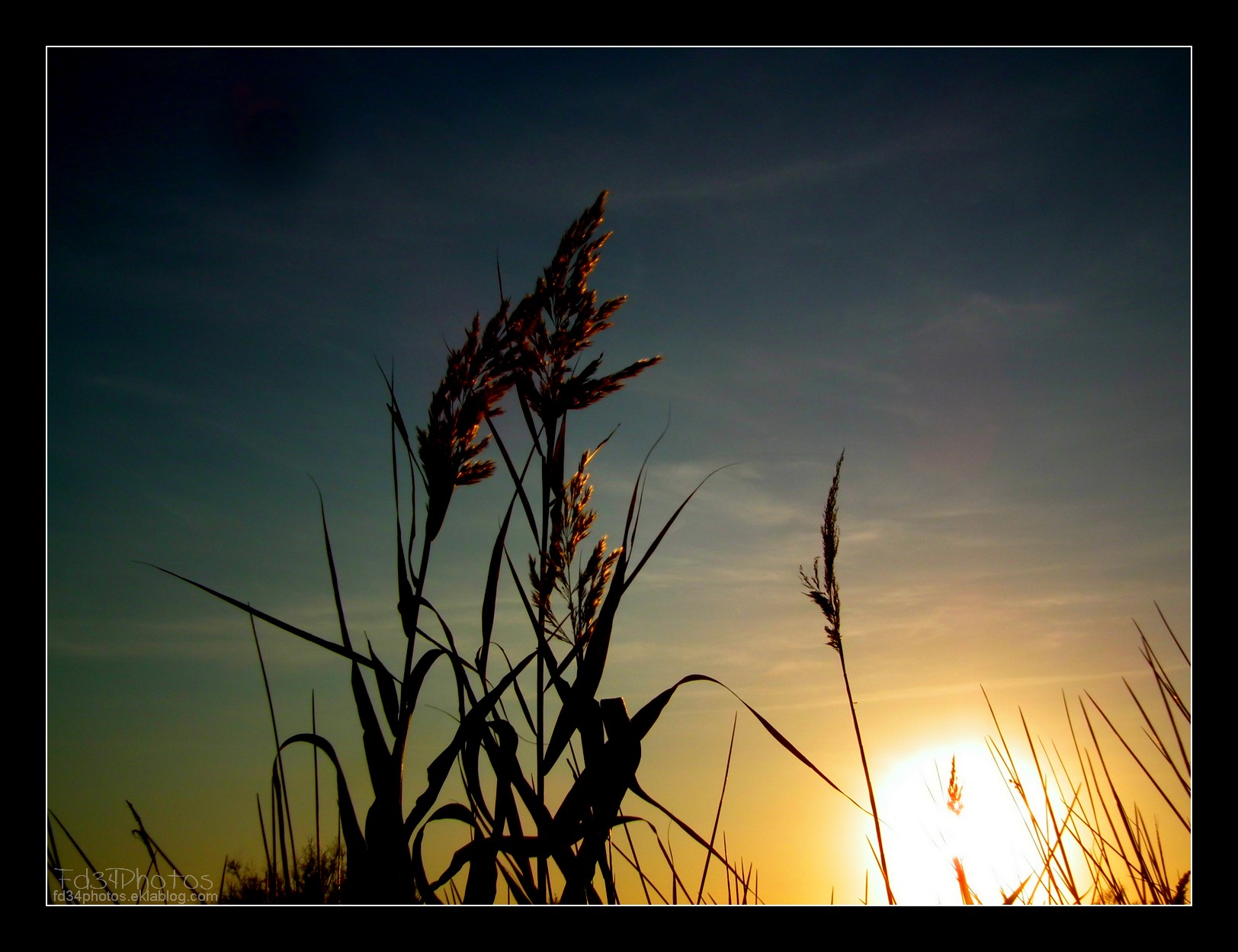 Fonds d'cran Nature Couchers et levers de Soleil 