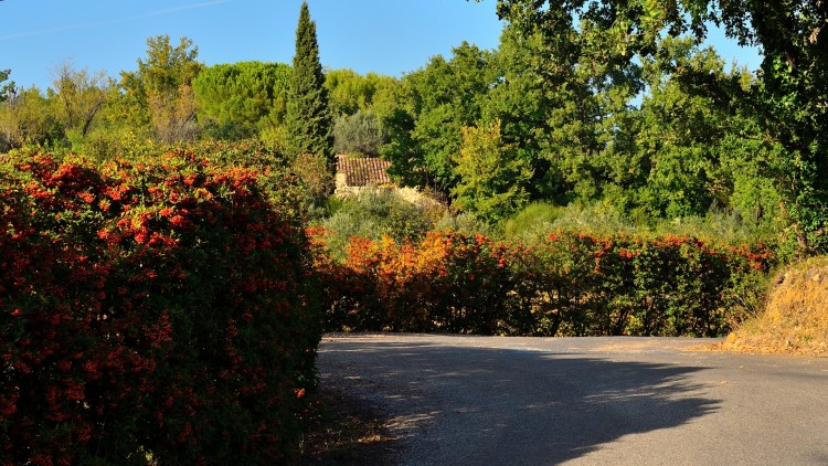 Fonds d'cran Nature Saisons - Automne L'automne dans le var