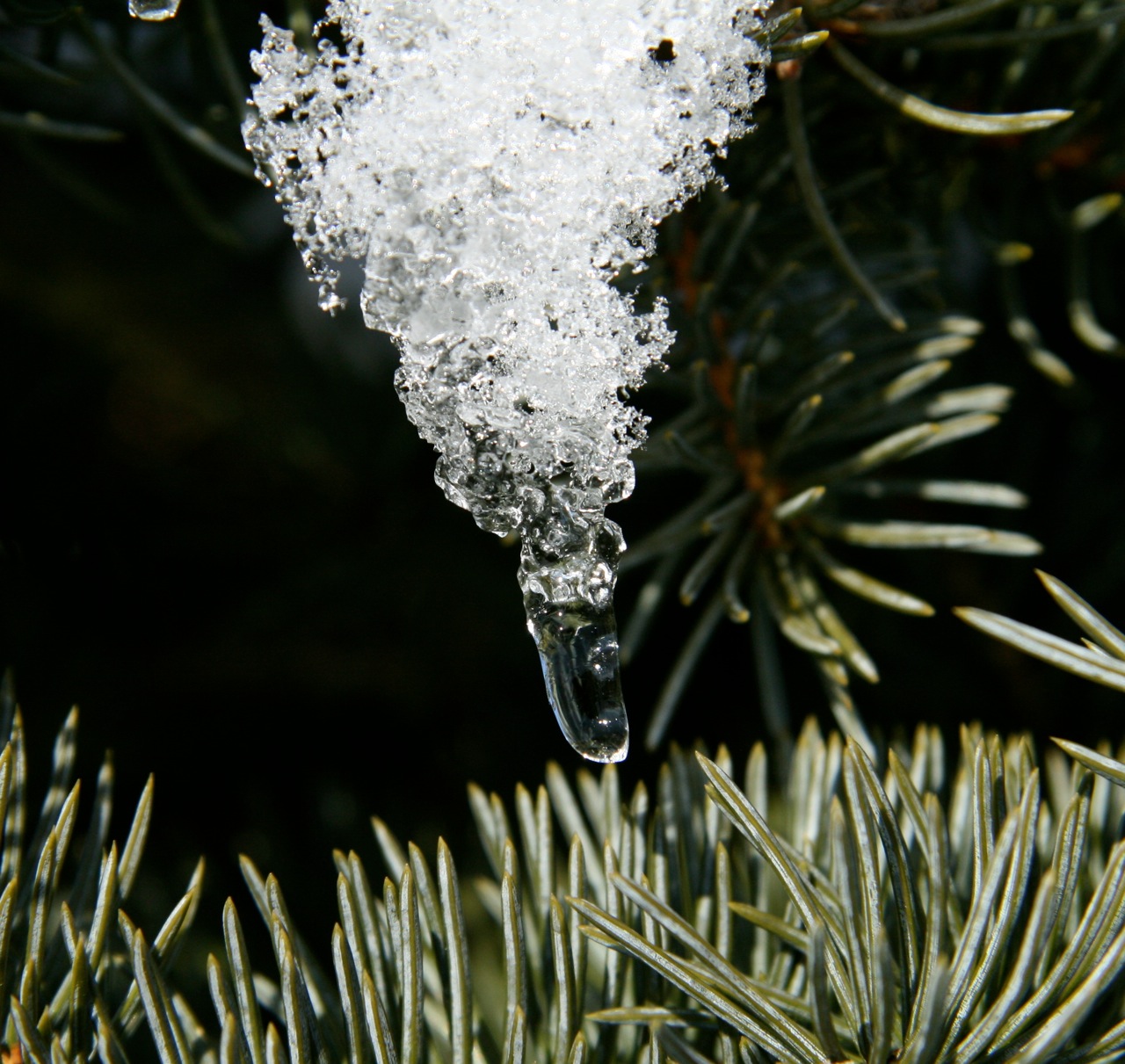 Fonds d'cran Nature Saisons - Hiver 