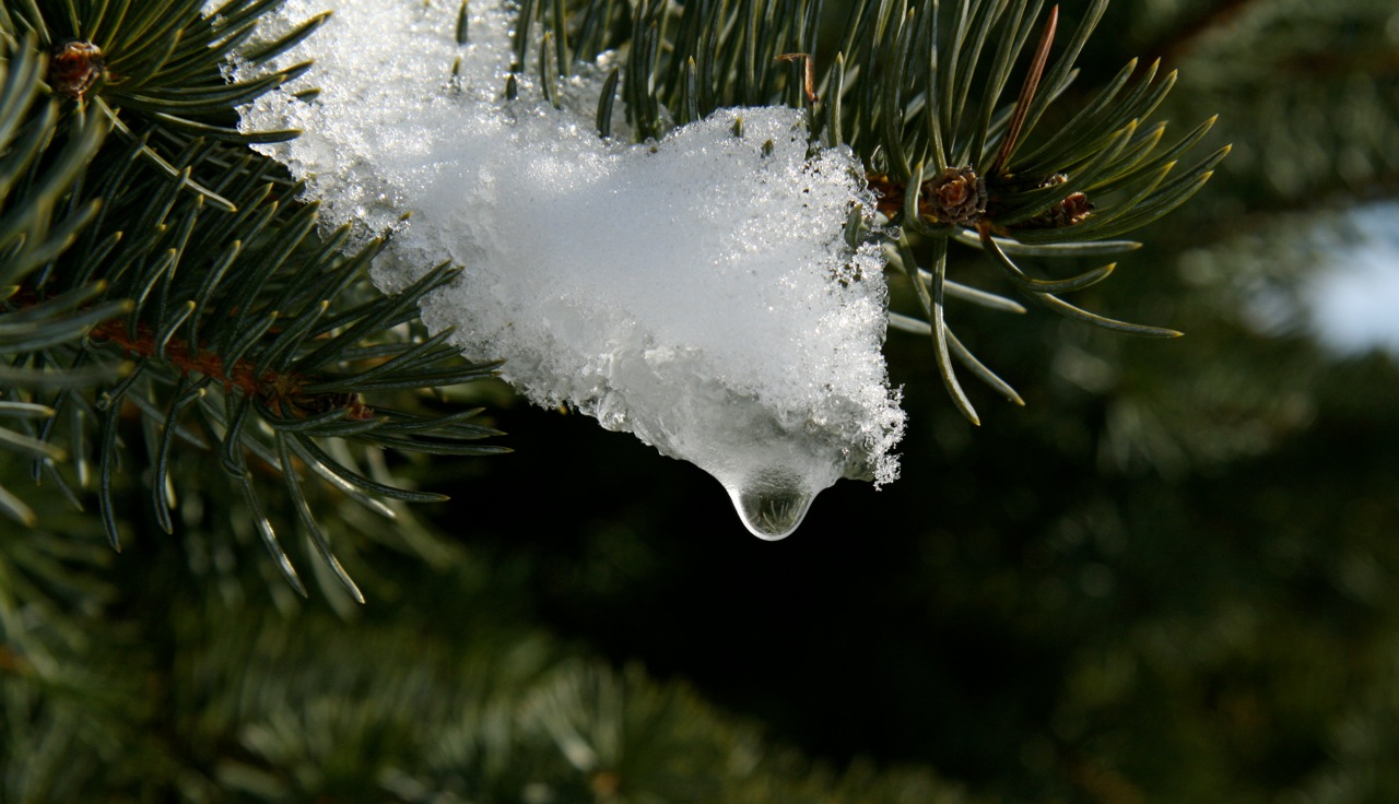 Fonds d'cran Nature Saisons - Hiver 