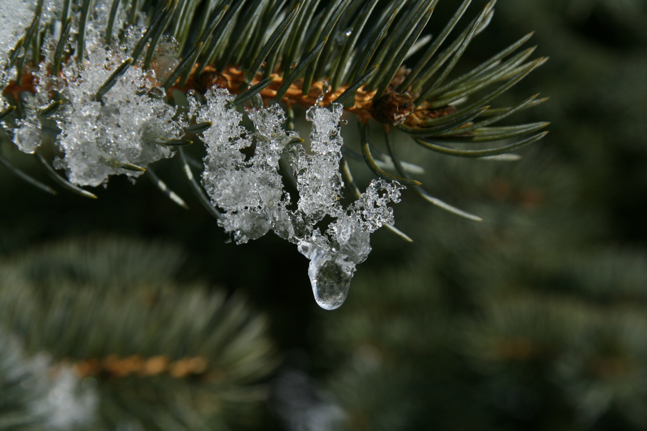 Fonds d'cran Nature Saisons - Hiver 