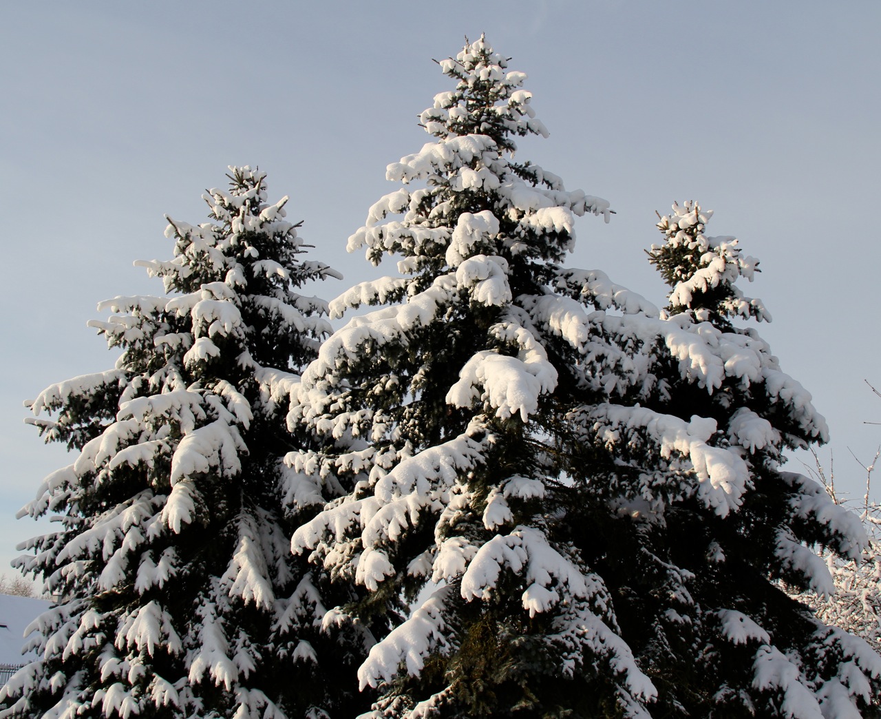 Fonds d'cran Nature Saisons - Hiver 