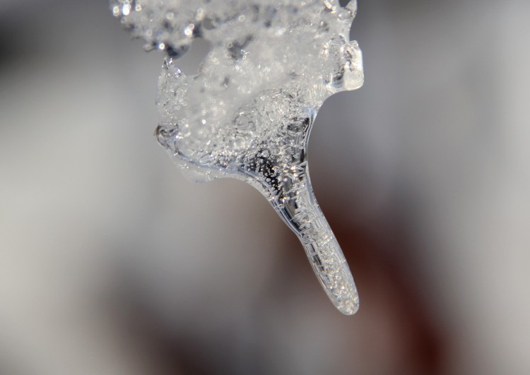 Fonds d'cran Nature Saisons - Hiver Ttine de glace