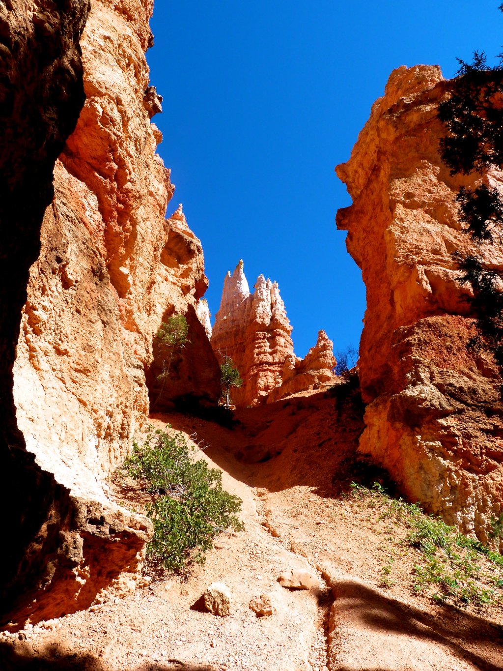 Wallpapers Trips : North America United-States Bryce Canyon (Utah)