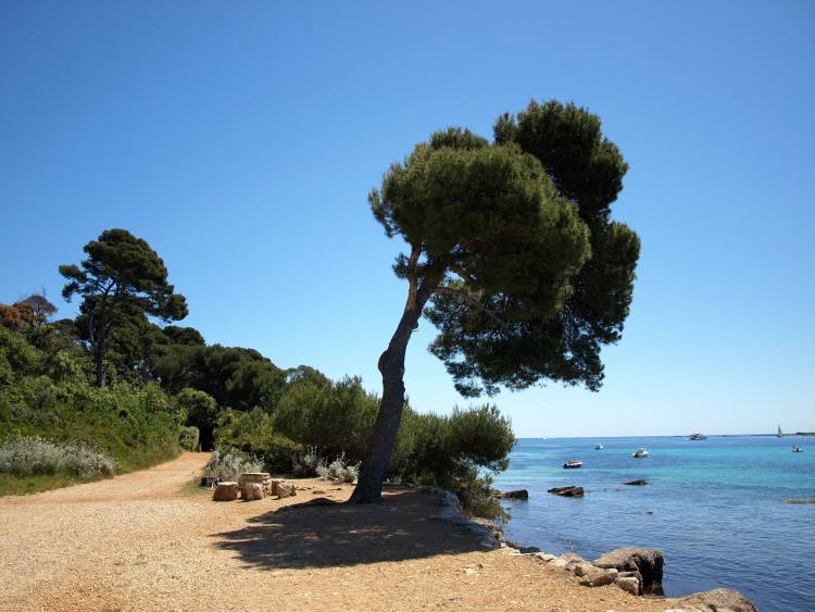 Fonds d'cran Nature Mers - Ocans - Plages Ile Marguerite