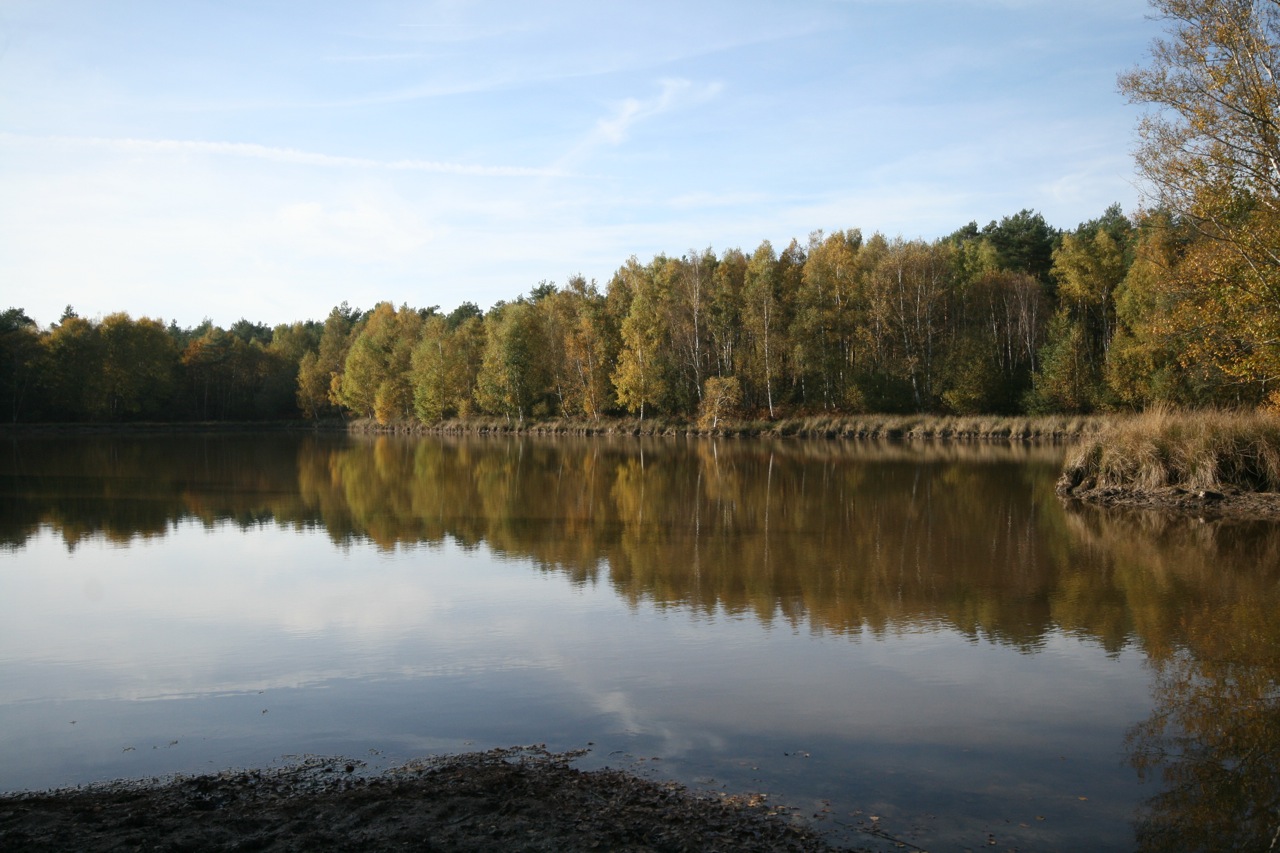 Wallpapers Nature Water - Reflection Srnit automnale