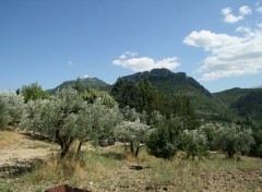 Fonds d'cran Voyages : Europe La rgion des Baronnies