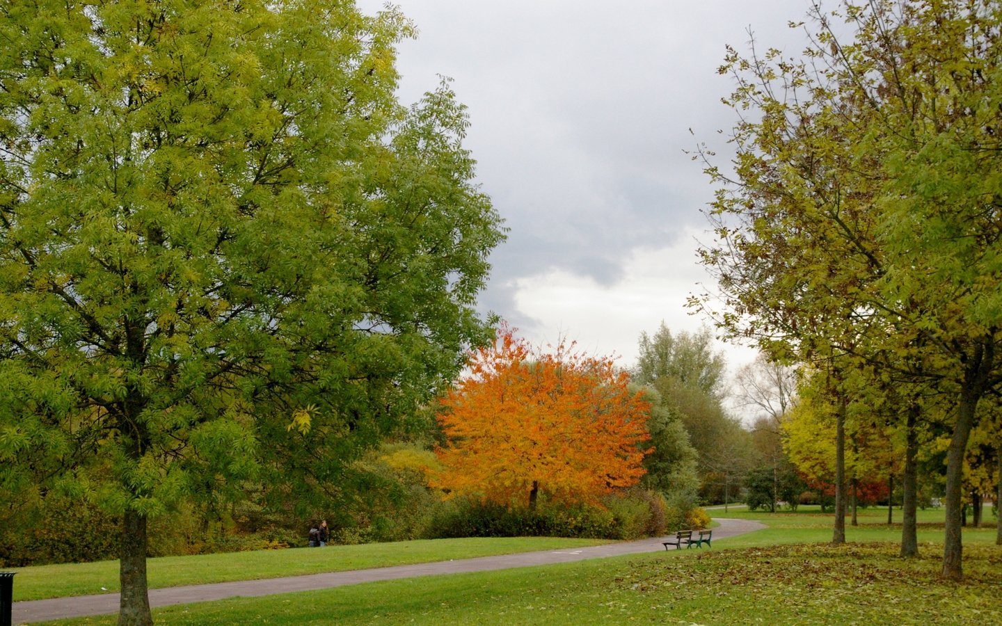 Wallpapers Nature Seasons - Fall promenade