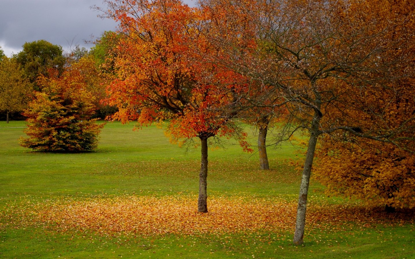 Fonds d'cran Nature Saisons - Automne tombez les feuilles