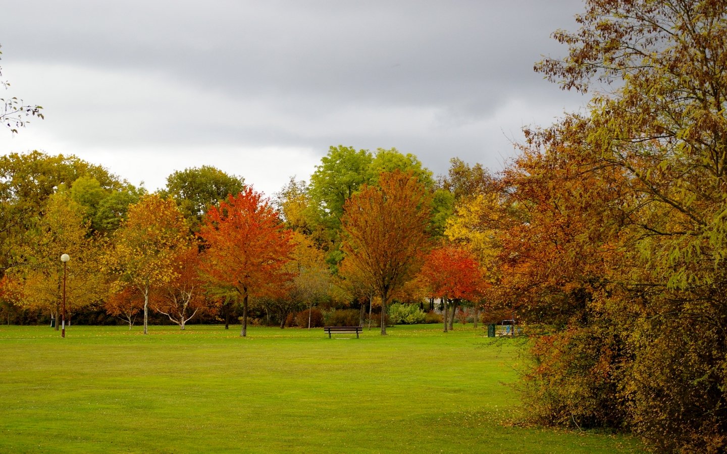 Wallpapers Nature Seasons - Fall i see red