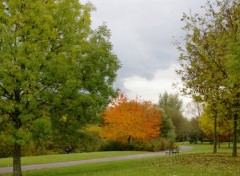 Wallpapers Nature promenade