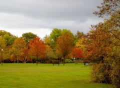 Wallpapers Nature i see red