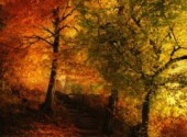 Wallpapers Digital Art Impressions d'automne.