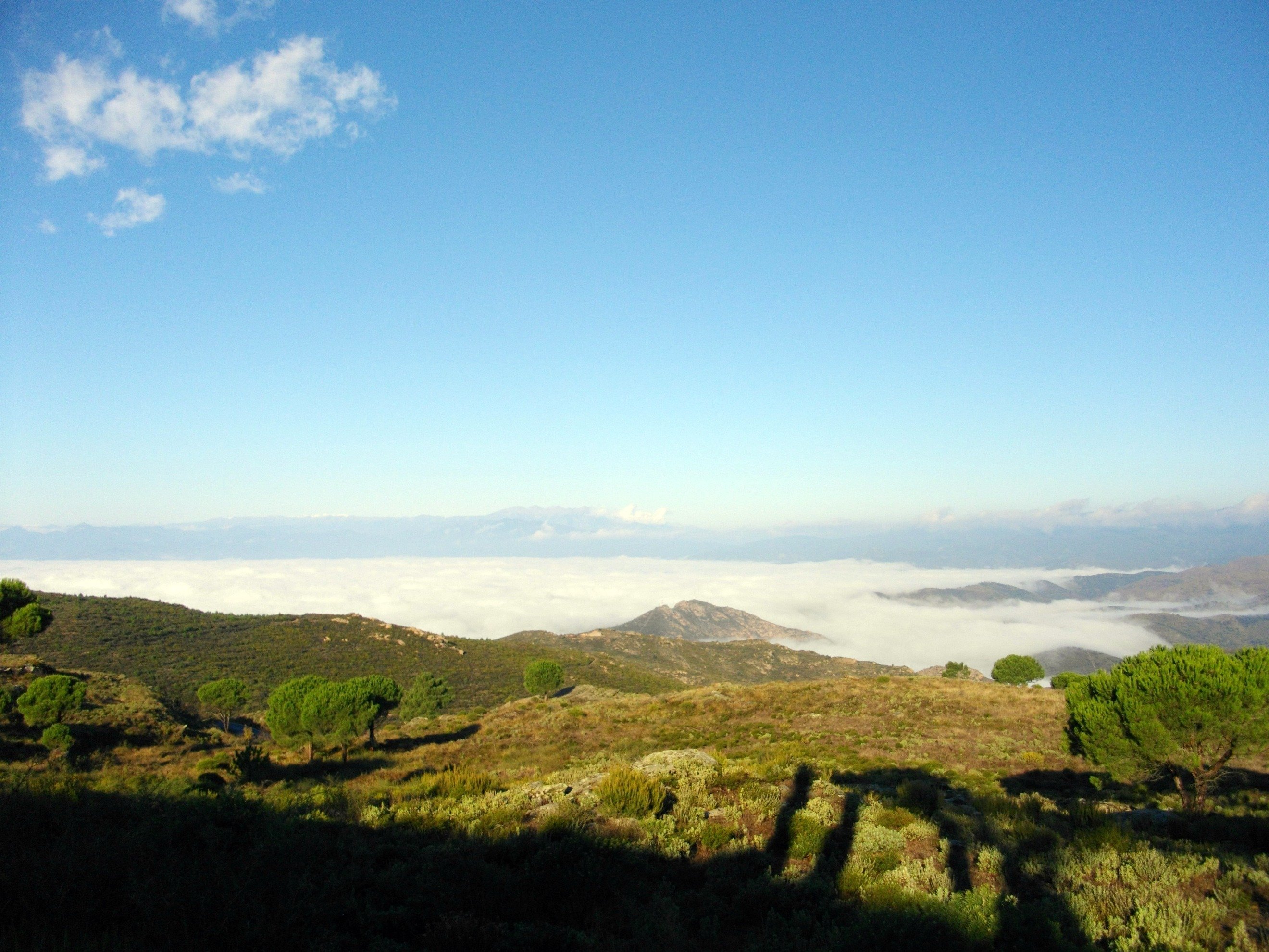 Fonds d'cran Nature Paysages sur les hauteurs ( san pere de rhodes- espagne)