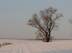 Fonds d'cran Nature Image sans titre N288115