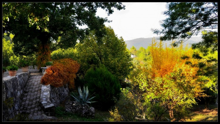 Fonds d'cran Nature Saisons - Automne A l'automne d'un jardin....