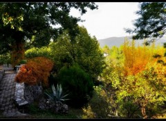 Fonds d'cran Nature A l'automne d'un jardin....