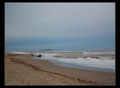 Fonds d'cran Nature Plage de l'Herault