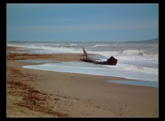 Fonds d'cran Nature Plage de l'Herault