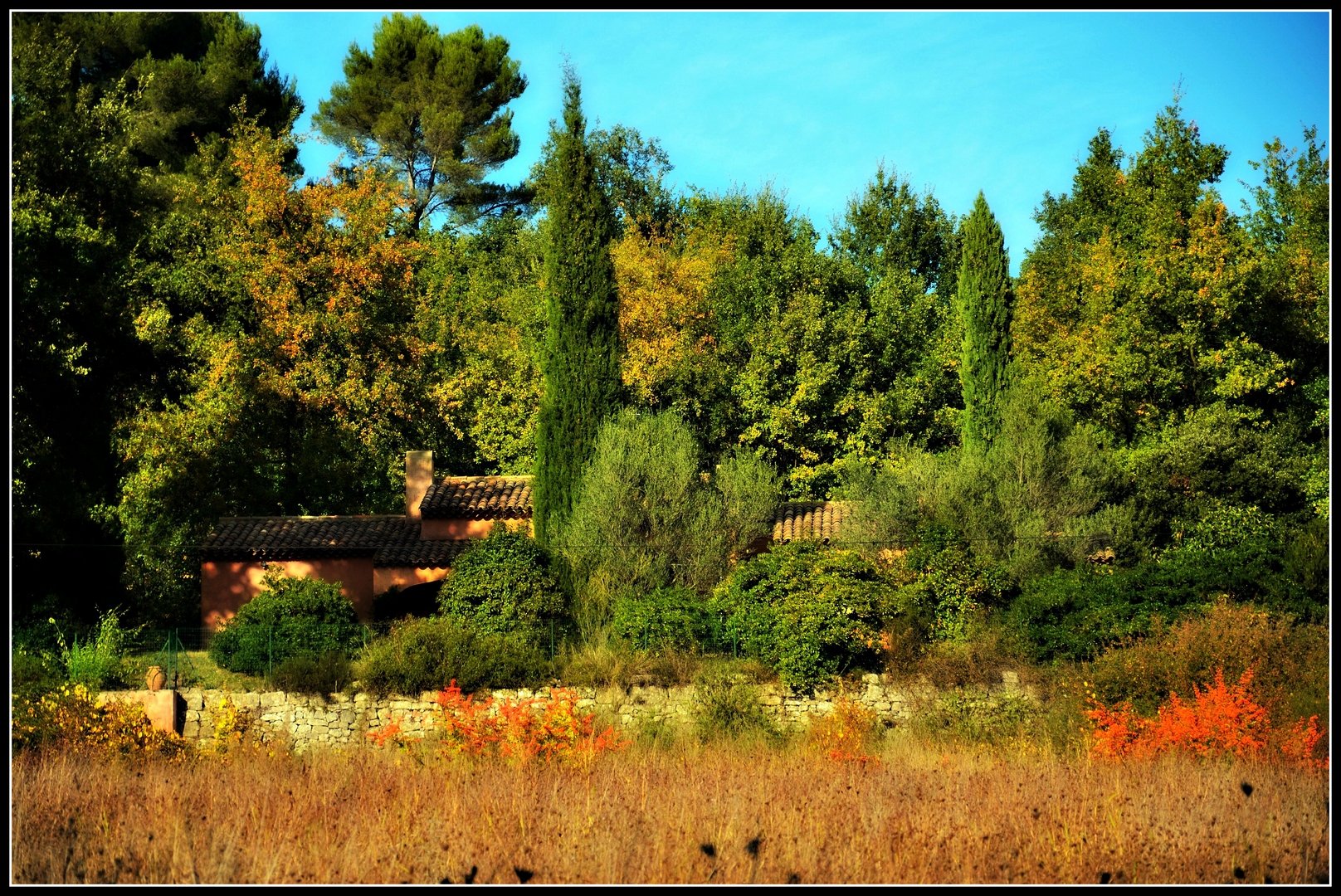 Fonds d'cran Nature Saisons - Automne Au coeur de l'automne