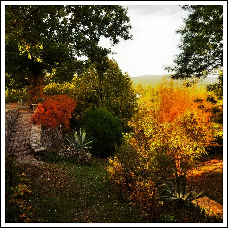 Fonds d'cran Nature Saisons - Automne l'automne