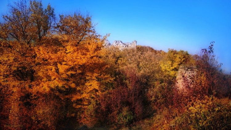 Fonds d'cran Nature Arbres - Forts Impressions d'automne 6.