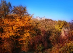 Fonds d'cran Nature Impressions d'automne 6.